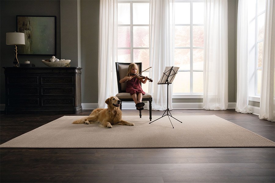 SmartStrand Carpet Featuring ColorMax Technology