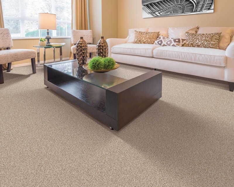 Carpet in an open concept living room