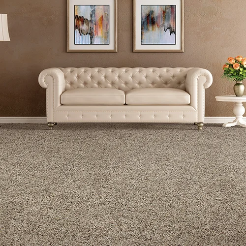 Jason's Carpet & Tile providing stain-resistant pet proof carpet in Margate, FL