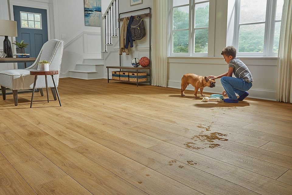 Boy and Dog water on RevWood Floor