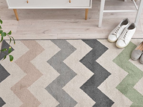 Area rug with Chevron pattern