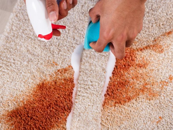 Cleaning a carpet stain