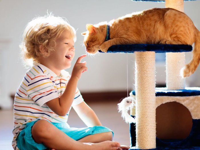 Child sitting on a pet friendly floor while playing with a cat